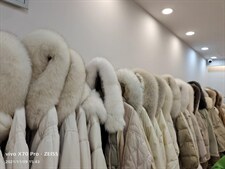 羽绒超大毛领，其它，The Show Fei Fei