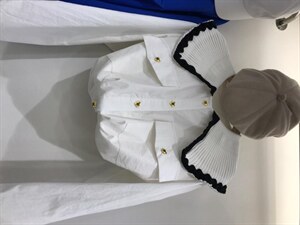 现货 针织领衬衫,女装衬衫,魅力布梵