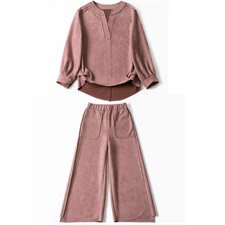 时尚两件套女2023秋装新款气质百搭长袖休闲V领鹿皮绒阔腿裤套装，女装套装/套裙，天丝秀