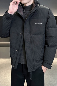 店主风 2025年新款时尚立领潮流保暖羽绒服男A236-G50-P200图片