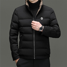 DF8866钱塘2020-2新款时尚休闲立领简约中年男士羽绒服P225，男装羽绒服，钱塘207-2