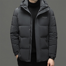 男士连帽商务休闲羽绒服新款冬季中年御寒宽松上衣厚款保暖外套，男装羽绒服，电商B212（原钱塘6029）