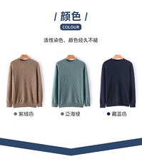 2025年秋季套头常规款修身型圆领长袖男士小半高领圆领长袖羊绒衫，男装羊绒套衫，儒商羊绒