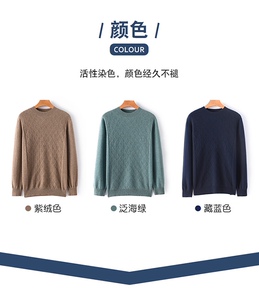 2025年秋季套头常规款修身型圆领长袖男士小半高领圆领长袖羊绒衫图片