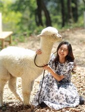 定制面料连衣裙，女装连衣裙，是爱 SHI AN