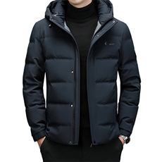 DF8896钱塘2020-2新款时尚休闲有帽简约中年男士羽绒服P245，男装羽绒服，钱塘207-2