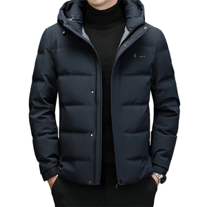 DF8896钱塘2020-2新款时尚休闲有帽简约中年男士羽绒服P245图片