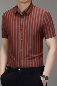 BGW-K425118夏季新款男士条纹短袖衬衣百搭衬衫商务男装图片