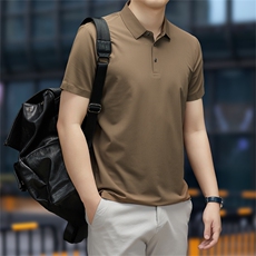 保罗男士短袖T恤翻领半袖薄款2023夏季新款中年商务休闲polo衫男，男装Polo衫，电商B212（原钱塘6029）