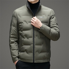 秋冬季男士白鸭绒羽绒服轻薄保暖商务品质立领外套休闲简约男装，男装羽绒服，钱塘6003（原4033）