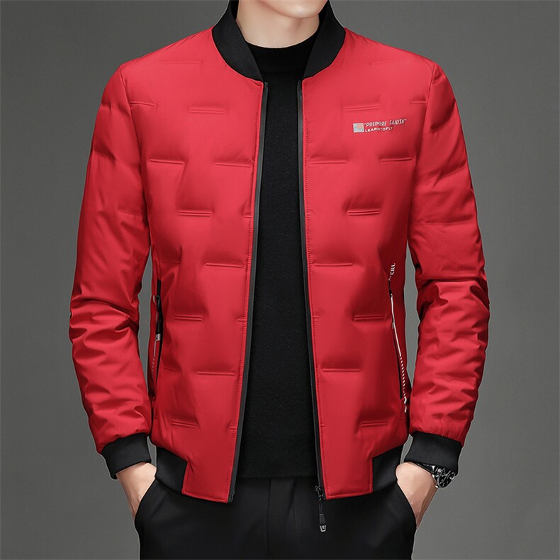 CK72052钱塘2020-2中青年男士时尚休闲帅气冬季厚款羽绒服P205,男装羽绒服,钱塘207-2