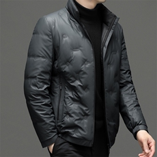 BN216钱塘2020-2中年男士冬季厚款时尚休闲立领百搭羽绒服P225，男装羽绒服，钱塘207-2