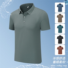 2025年夏季新品翻领Polo冰丝短袖锦纶品质HS1367-P38，男装T恤，星座1206（原A206）