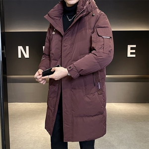 标50白鸭绒长款加厚外套男装羽绒服C317-Y6121-P265图片