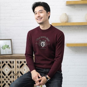 男士秋冬时尚百搭针织衫圆领休闲打底衫烫钻图案高级毛衣男装图片