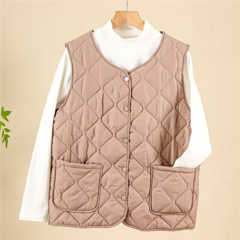 2024秋新款简约时尚百搭保暖马甲女外套，女装马甲，炳炬电商供货