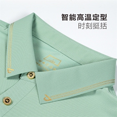 2024年翻领百搭潮流中年上衣时尚夏季宽松短袖T恤CK32002-P70，男装Polo衫，星座1105-3