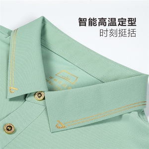 2024年翻领百搭潮流中年上衣时尚夏季宽松短袖T恤 CK32002-P70图片