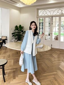 两件套连衣裙，女装连衣裙，素雅公主(1F)