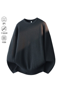 2025秋冬加厚高品质设计感纯色街头圆领轻奢针织毛衣MZ84-P48图片