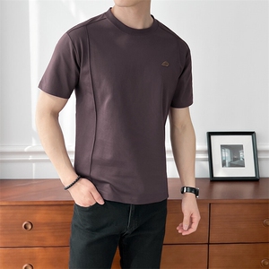 B353 T6706 P38 L-4XL 夏季新款2025潮流韩版休闲男士短袖体恤 紫图片