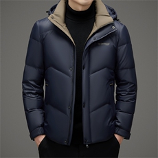 AK78132钱塘2020-3新款时尚休闲冬季简约百搭中年男士羽绒服P245，男装羽绒服，钱塘207-3