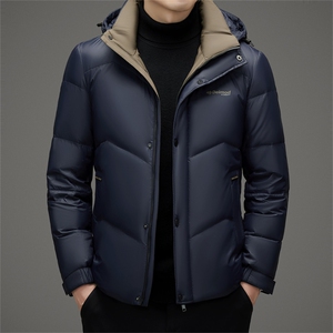 AK78132钱塘2020-3新款时尚休闲冬季简约百搭中年男士羽绒服P245图片