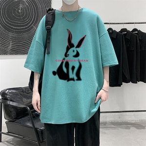 纯棉短袖t恤男大码半袖打底衫宽松体恤衫 DX17308-P20 大皂风图片
