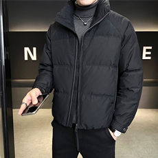 标50绒立领男士羽绒服冬季2025新款加厚外套A313-58030-P185，男装羽绒服，电商A313