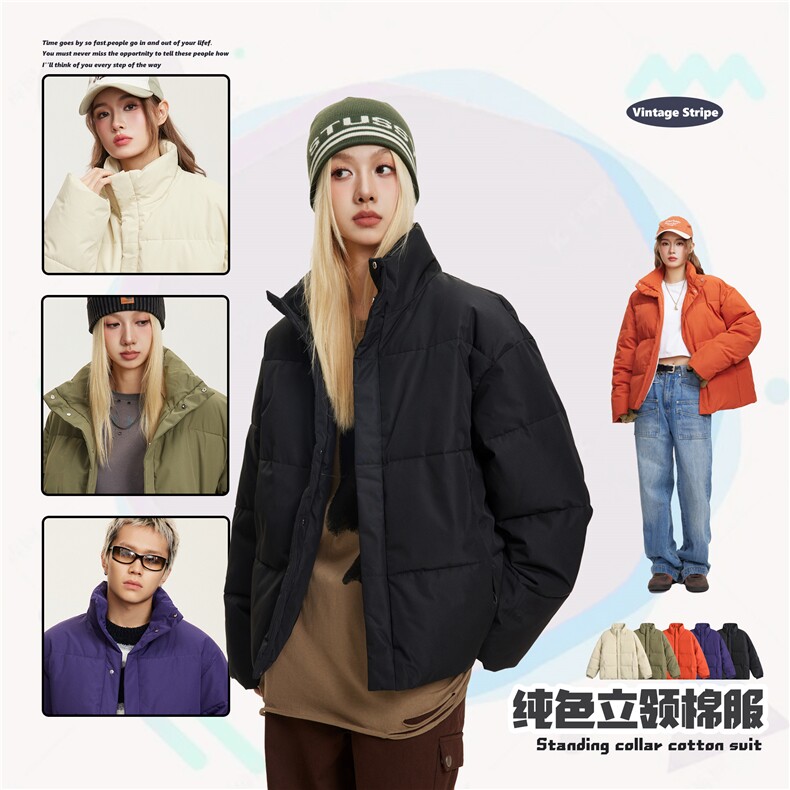 2025冬款纯色立领棉服--5215模特图,男装棉衣,电商S012（CATTEE）