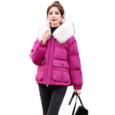 现货2023年棉衣短款加厚宽松流行纯色气质大毛领时尚潮棉衣，女装棉衣/棉服，伊仟回