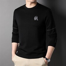新款卫衣男潮流免烫男士长袖t恤春秋薄款刺绣圆领打底小衫，男装卫衣，电商B212（原钱塘6029）