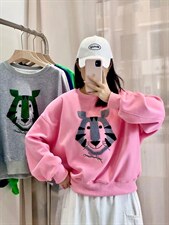 可爱的毛巾绣小老虎卫衣，女装卫衣/绒衫，著朴