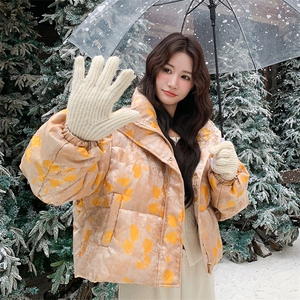立领提花50绒羽绒服外套2C317A-8567-P295-K445图片