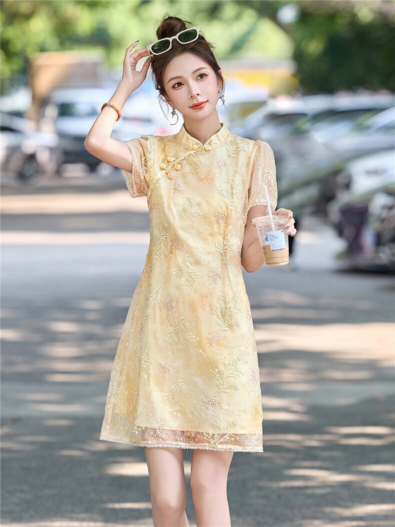 新中式国风连衣裙女2025夏新款高端轻奢精致刺绣气质显瘦旗袍裙,女装连衣裙,艾仟回(原伊仟回)