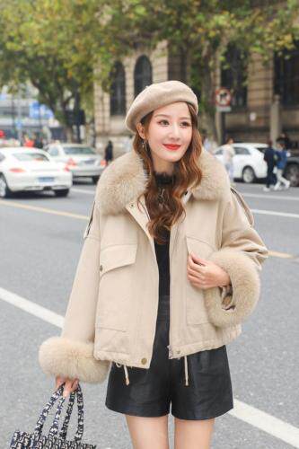 雪儿之秀 XEZX102504