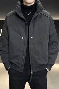 90%标白鸭绒 2025冬季时尚立领休闲加厚羽绒服外套6675-P270图片
