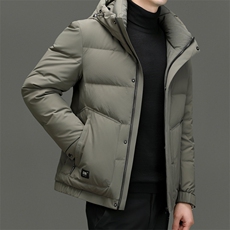 DF23315钱塘2020-2新款冬季时尚百搭连帽简约中年男士羽绒服P293，男装羽绒服，钱塘207-2