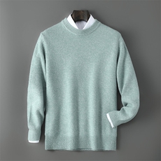 2025年秋季宽松型长袖青春流行套头圆领厚款时尚百搭通勤简约，男装羊毛衫，贝恒羊绒