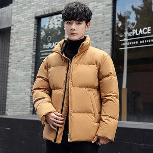 新款日系修身韩版宽松短款外穿立领高档羽绒服图片