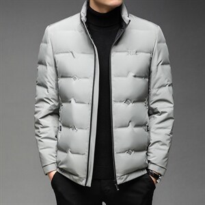 SQY2865冬季男士羽绒服保暖外套修身白鸭绒潮流帅气P252图片