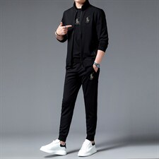 中年运动套装男春秋季休闲运动服男士外套卫衣爸爸秋装套装两件套，男装休闲套装，电商B212（原钱塘6029）
