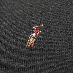 QLM55151男式2021春季新款长袖t恤青年休闲polo衫体恤P66图片