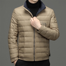CAH9903钱塘2020-2冬季厚款时尚休闲简约中年男士羽绒服P220，男装羽绒服，钱塘207-2