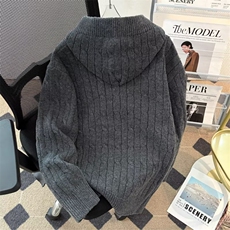 连帽套头毛衣时尚宽松针织打底衫毛线衣男士外穿高级感6511P63，男装T恤，星座410-2