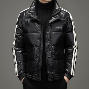 2024年新款男士皮衣羽绒服P240图片