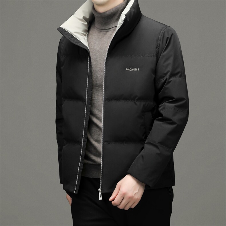 BWDF-1钱塘2020-2冬季厚款时尚休闲简约冬季厚款中年羽绒服P190,男装羽绒服,钱塘207-2