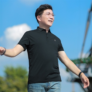 商务休闲男装夏季新款短袖T恤polo衫中年翻领薄款半袖体恤男上装图片