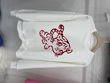 现货小老虎卫衣，女装卫衣/绒衫，魅力布梵