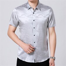 22新款男士短袖衬衫夏季中年衬衣男装商务休闲简约百搭宽松，男装衬衫，电商B212（原钱塘6029）